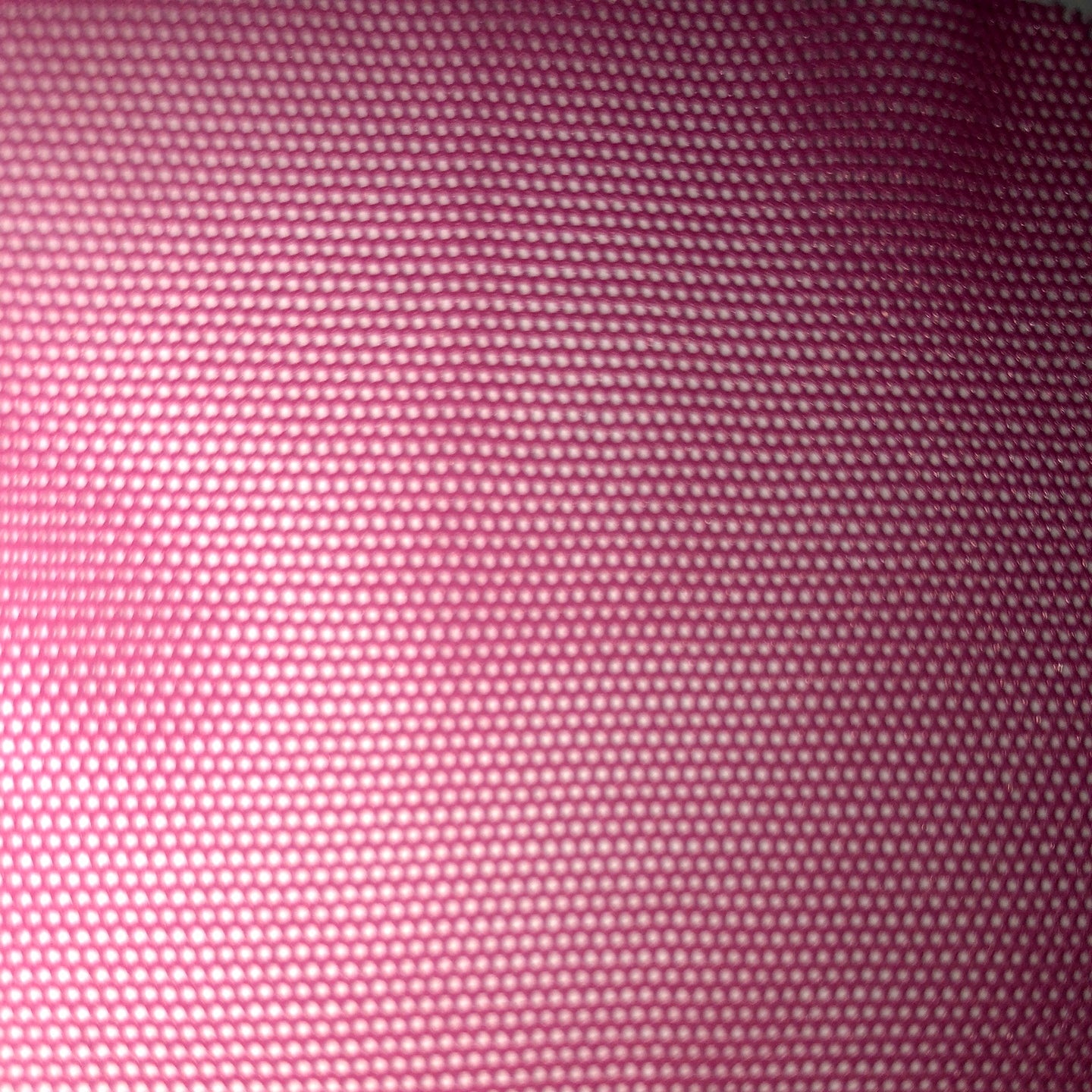 Mesh Catsuit